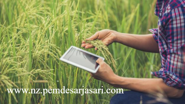 Kedaulatan Pangan: Memacu Produktivitas Lewat Revolusi Agroteknologi