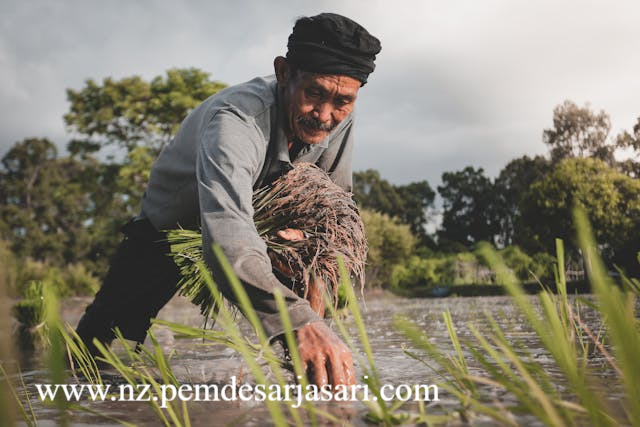 Instrumen Keuangan Berbasis Lahan