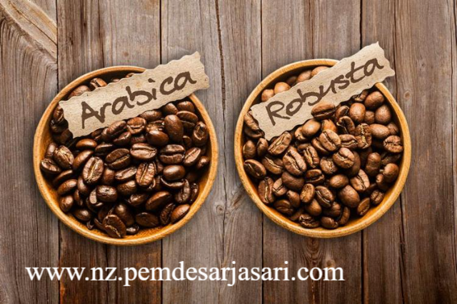 Strategi Hilirisasi Kopi Lokal Mendongkrak Pendapatan Petani Demi Menembus Pasar Retail Internasional