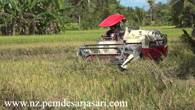 Proteksi Finansial Ganti Rugi Gagal Panen Menjaga Kestabilan Modal Kerja Guna Membebaskan Petani Dari Rentenir