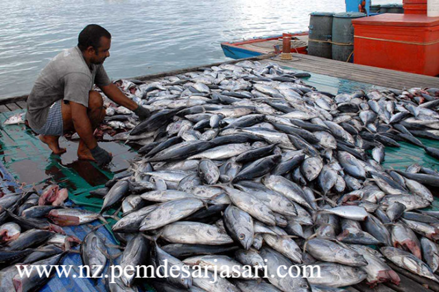 Sertifikat Penyimpanan Hasil Laut Menjamin Stabilitas Nilai Jual Komoditas Guna Melindungi Pendapatan Nelayan Budidaya